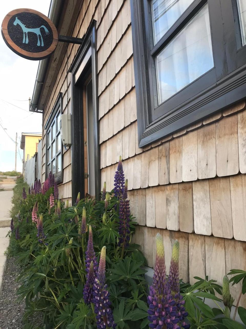 El Establo Otel Puerto Natales Dış mekan fotoğraf