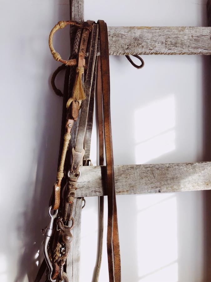 El Establo Otel Puerto Natales Dış mekan fotoğraf